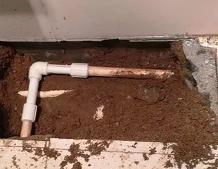 上街测漏水哪家好