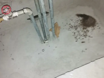 上街卫生间测漏水价格明细