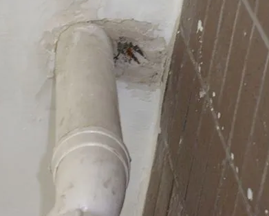 上街漏水检测哪家好